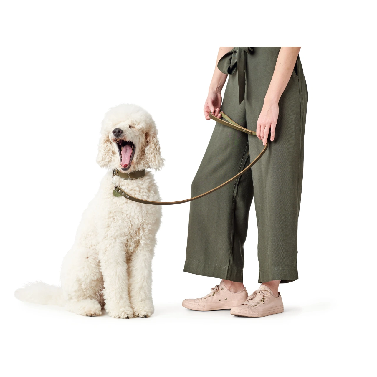 Hunter Aalborg Sport Oliven 52 hundehalsbånd - 38-47 cm